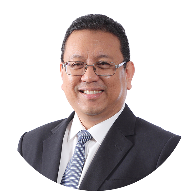 Tan Sri Nik Norzrul